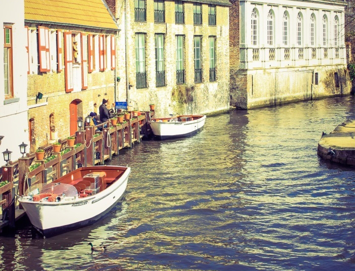 数字平台稳定的ddos网页端源码